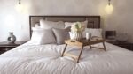 , How to Use Feng Shui in the Year of the Wood Snake (2025)